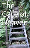 The Gate of Heaven (Life after Death - a Soul in Paradise Book 3)