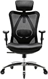 XUER Ergonomic Office Chair, Mesh Computer Desk Chair with Adjustable Sponge Lumbar Support, Thick Cushion, PU Armrest and Headrest, High Back Swivel Home Office Task Chair for Work (Black)