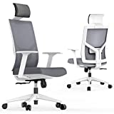 Season wind Ergonomic Office Chair Adjustable Lumbar Support Headrest High Back Swivel Desk Chair Mesh Computer Chair Thick Cushion Big Tall Executive Home Task Chair Comfortable Armrest Wheel Grey