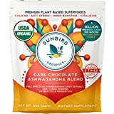 Dark Chocolate Ashwagandha Powder Superfood Drink & Smoothie Mix with Probiotics, Organic Ashwagandha Root Extract, Cacao Powder & Prebiotic Fiber. Focused Calm. Stress Support. Made in USA