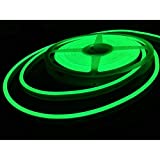 iNextStation Neon LED Strip Light 16.4ft/5m 12V DC 600 SMD2835 LEDs Waterproof Flexible LED NEON Light for Indoors Outdoors Decor [ Green | Power Adapter not Included]