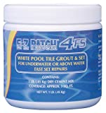 E-z Patch 4 F.s. White Pool Tile Grout Repair (Fast Set) 1 Lb.