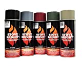 Mojave Red - 1200 Degree Wood Stove High Temp Paint -