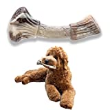 Indestructible Dog Chew Toys for Aggressive Chewers Large Medium Breeds, PETSLA Durable Nylon Dog Toys for Small Medium Large Dogs and Teething Puppies (Antler Shape, 7.16 inches)