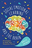 Social-Emotional Learning and the Brain: Strategies to Help Your Students Thrive