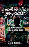 Sweating in the Land of Smiles: Living in Bangkok During the Year of Radical Change