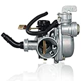 DUILU Carburetor Motorcycle Carb 19mm PZ19 110 for 50cc 70cc 90cc 110cc 125cc Chinese ATV Dirt Bikes