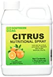 Southern Ag Chelated Citrus Nutritional Spray, 16 OZ