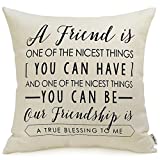 Meekio Friendship Gifts Decorative Throw Pillow Covers 18" x 18" with Friend Quotes