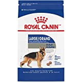 Royal Canin Large Breed Adult Dry Dog Food, 35 lb bag