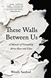 These Walls Between Us: A Memoir of Friendship Across Race and Class