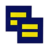 Equality Car Static Cling Sticker