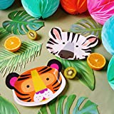 Talking Tables FACE Safari Jungle Zoo Animal Tiger Zebra Party Plates, Pack of 12, Width 23cm, 9", Orange, White and Black