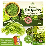 Namiso Sea Grapes - Dried Seaweed Japanese Snacks - Lato Sea Grapes to Eat - King Umbudo Variety - Hand Harvested Sea Vegetables and ASMR Food - For Seaweed Salad, Sushi and More (Pack of 12 + paste)