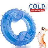 ZNOKA Pet Products Arctic Freeze Fetch Food Cooling Teether Upgraded Chew Toy