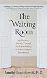 The Waiting Room: My Recovery Journey from Medication Injury & Benzodiazepine Withdrawal