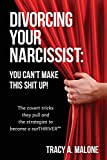 Divorcing Your Narcissist: You Can't Make This Shit Up!