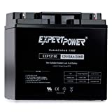 ExpertPower EXP12180 12V 18Ah Lead Acid Battery