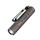 ACEBEAM Rider RX Rechargeable Pocket EDC Flashlight 650 High Lumens AA Flashlight 90+ High CRI Small Flashlight for Camping, Hiking, Everyday Use (Titanium)