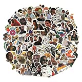 138pcs Funny Meme Vinyl Stickers Pack, Vine Stickers for Laptop, Water Bottles, Computer, and Hydro Flask, DIY Decor for Bumper Wall (Meme)