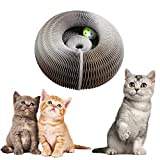 Magic Organ Cat Scratching Board Comes with a Toy Bell Ball,Cat Grinding Claw Scratching Board, Foldable Convenient Cat Scratcher Durable Recyclable