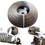 Magic Organ Cat Scratching Board ,Interactive Scratcher Cat Toy,Cat Grinding Claw Scratching Board, Foldable Convenient Cat Scratcher Durable (Comes with a Toy Bell Ball)