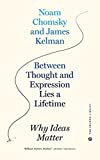 Between Thought and Expression Lies a Lifetime: Why Ideas Matter