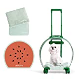 VETRESKA Hard Cat Carrier with Stickers & 2 Mats, Freely Breathe Travel Dog Carrier, Airline Approved Outdoor Cat Crate, Cat Kennel Trolley Case Portable with Silent Wheel for Cats and Dogs