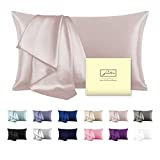 Mulberry Silk Pillowcase for Hair and Skin Standard Size 20"X 26" Silk Pillow Case with Hidden Zipper Soft Breathable Smooth Cooling Silk Pillow Covers for Sleeping(Apricot Gray,Standard,1Pcs)