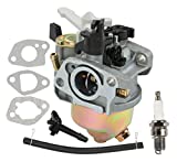 Carburetor Compatible with Coleman Powersports 196cc CT200U CT200U-EX Trail 200 Mini Bike Baja HT65 WR65 Carb with Gaskets Fuel Line Filter