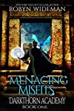Menacing Misfits: An Epic Fantasy Gamelit Adventure (Darkthorn Academy Book 1)