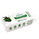 Best Pet Supplies 8" x 9" Pet Grooming Wipes for Dogs & Cats, 100 Pack, Plant-Based Deodorizer for Coats & Dry, Itchy, or Sensitive Skin, Clean Ears, Paws & Butt - Hydrating Aloe Vera (Unscented)