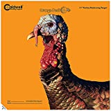 Caldwell Orange Peel Turkey Target with Flake Off Material and Strong Adhesive for Outdoor, Range, Shooting and Hunting