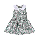 VINUOKER Toddler Baby Girls Summer Floral Dress Boho Sleeveless Sundress Little Girls Peter Pan Collar Casual Dress 1-6 Years