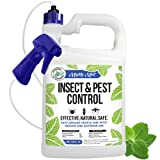 Mighty Mint Gallon (128 oz) Insect and Pest Control Peppermint Oil - Natural Spray for Spiders, Ants, and More - Non Toxic