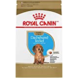 Royal Canin Breed Health Nutrition Dachshund Puppy Dry Dog Food, 2.5 lb