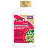Bonide Pyrethrin Garden Insect Spray Concentrate, 8 oz Ready-to-Mix Fast Acting Insecticide for Outdoor Garden Use