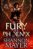 Fury of a Phoenix (The Nix Series Book 1)