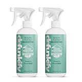 Defunkify Odor Remover Spray, Peppermint - Crushes Odor - with Ionic Silver & Pure Essential Oil Scent - 32 floz (2-Pack of 16 floz bottles) (Peppermint)