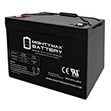 12V 100Ah Replacement Battery Compatible with Minn Kota Trolling Motor Power Center