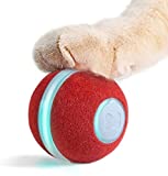 Cheerble Cat Ball, Board Game Keep Your cat Happy, A New 3-in-1 Board Game for Playful Cats, All-in-one Interactive Toy for Cats (Red)