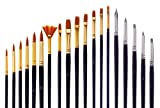 Jerry Q Art 19 Pcs Brush and Color Shaper Set. 14 Golden Nylon Round, Flat, Fan, Filbert Brushes and 5 Silicon Color Shapers. Multimedia Set JQ219