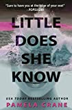 Little Does She Know: A Psychological Thriller (If Only She Knew Series Book 1)