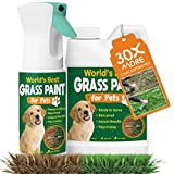 PetraTools Grass Paint for Pets, Ready-to-Use Green Grass Lawn Spray & Dog Spot Grass Repair & Grass Paint for Lawn, Lawn Paint Leak-Proof Bottle with 64oz Green Grass Spray for Lawn & Turf Paint