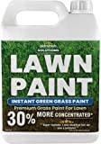 PetraTools Lawn Paint, Green Grass Lawn Spray Grass Paint for Lawn, Green Lawn Spray, Green Grass Spray for Lawn & to Grass Spray Paint Grass Green, Green Dye for Lawn Spray on Grass (1 Gal)