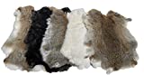 Sanctuary Traders Assorted Bulk Low Grade Natural Rabbit Pelts with Fur - Perfect for Decoration or Cat/Dog Toys (Pack of 5) - 8-10" Wide and 12-14" Long