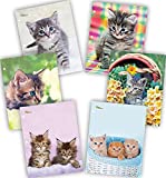 New Generation - Kitten - 2 Pocket Folders/Portfolio 6 Pack Letter Size with 3 Hole Punch to use with Your Binder Heavy Duty Glossy Finish UV Laminated Folder - Assorted 6 Fashion Design (6 Pack)