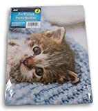 School Supply Adorable Pets 3-Hole 2-Pocket Portfolio Folders - 2 Count - 9.25 x 12 Inches (Tabby / Retriever and Kitten)