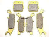 Master Chen Front Rear Brake Pads Brakes for Yamaha Raptor 250 YFM250R RX/RY/RZ/RA/RB/RD 2008-2013 FA443F FA444F FA084R MC0484