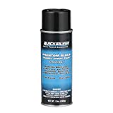 Quicksilver 802878Q1 Phantom Black - Gloss Enamel Spray Paint 12 Ounce (Pack of 1)